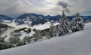 PRIMA NEVE A CESPEDOSIO - FOTOGALLERY